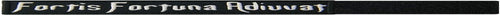 Load image into Gallery viewer, Fortis Fortuna Adiuvat Fortune Favors the Brave Morale Tactical Patch Embroidered Applique Fastener Hook &amp; Loop Emblem
