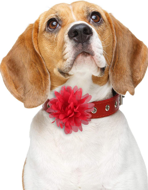 Load image into Gallery viewer, 20 Pieces Dog Collar Flowers Pet Flower Bow Ties Multi-Color Dog Charms Flower for Puppy Dog Collar Grooming Accessories (12 Cm/ 4.7 Inch)
